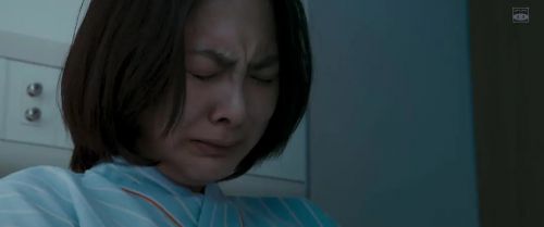 星笼之海