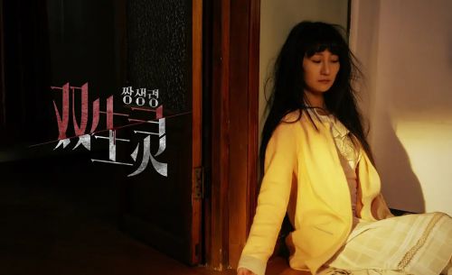 双生灵