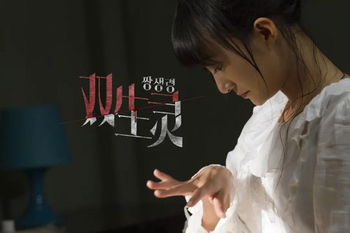 双生灵