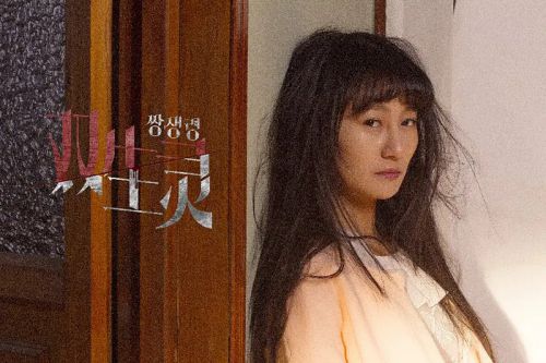 双生灵