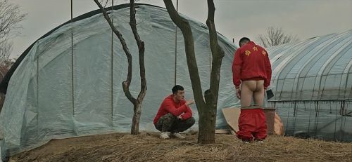 狼来了