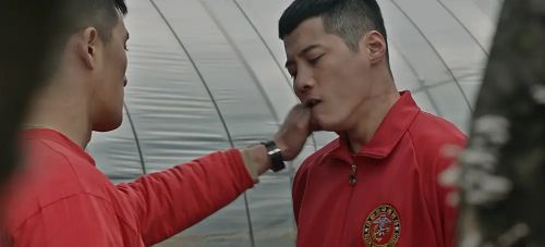 狼来了