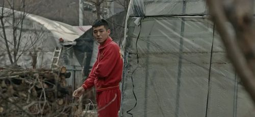狼来了