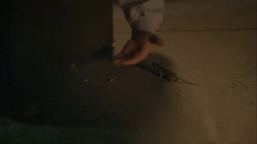判我有罪
