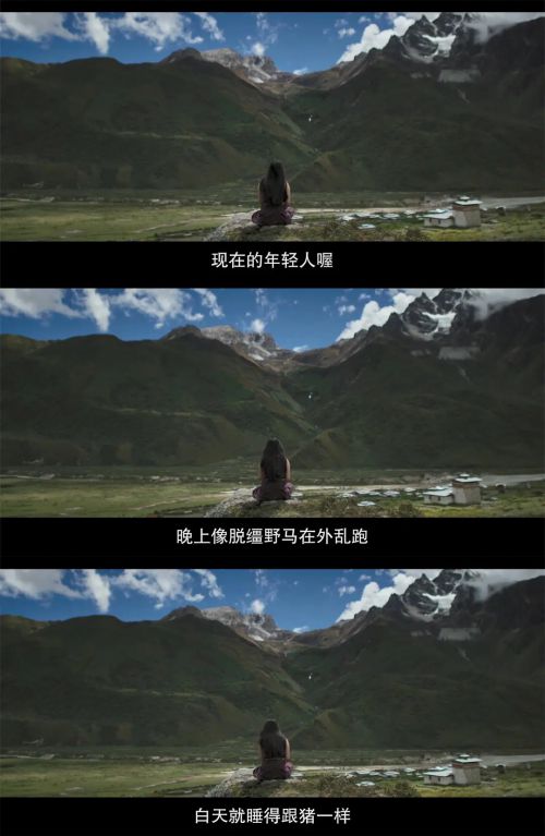 教室里的一头牦牛