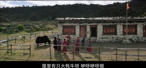 教室里的一头牦牛