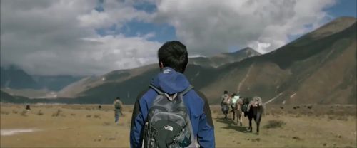 教室里的一头牦牛