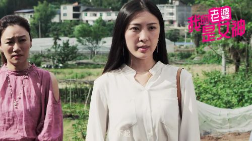 我的老婆是女神