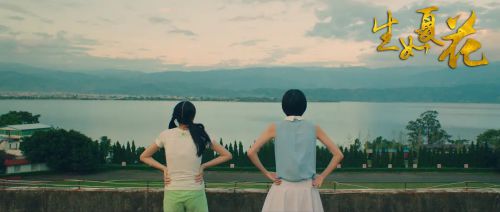 生如夏花