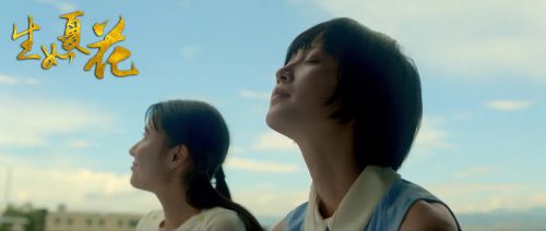生如夏花