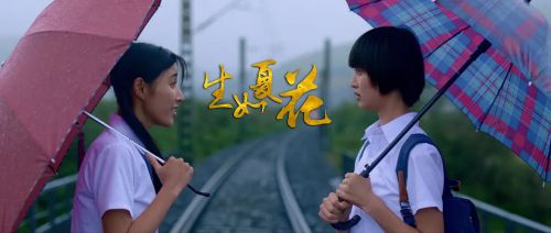 生如夏花