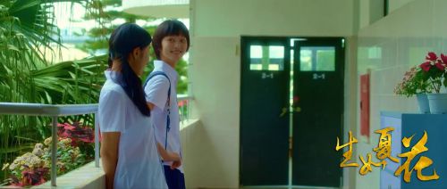 生如夏花