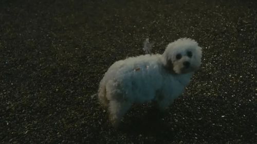 借口公司