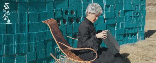 蓝色金鱼