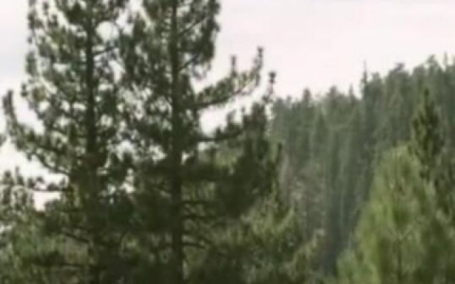 暮光大电影：贝拉介绍爱德华
