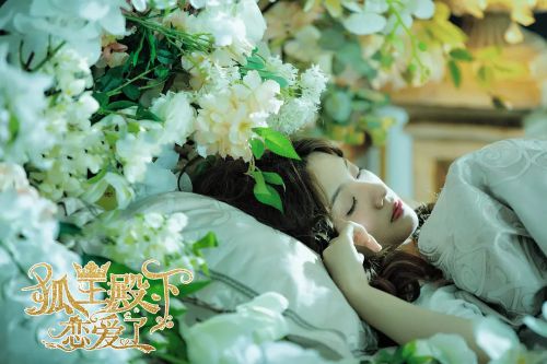 狐王殿下恋爱了