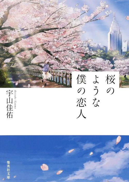 我的樱花恋人 桜のような僕の恋人