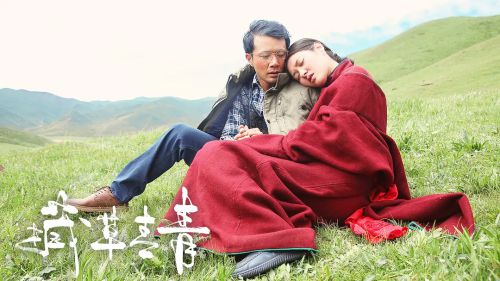 援藏日记