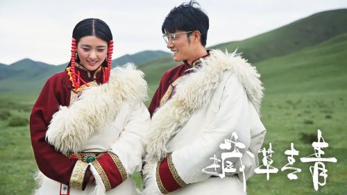 援藏日记