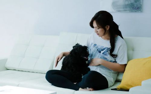 我的老婆先生