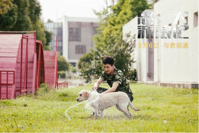 《忠犬流浪记》9月6日温情上映感动你我