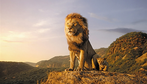 新版《狮子王》票房突破3亿，但口碑两极化