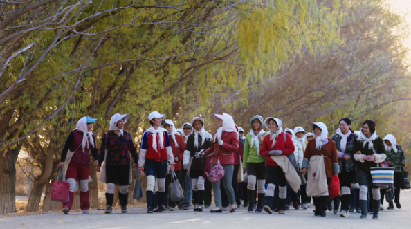 《花开时节》收官：新疆麦田里兰考女工的奋斗史