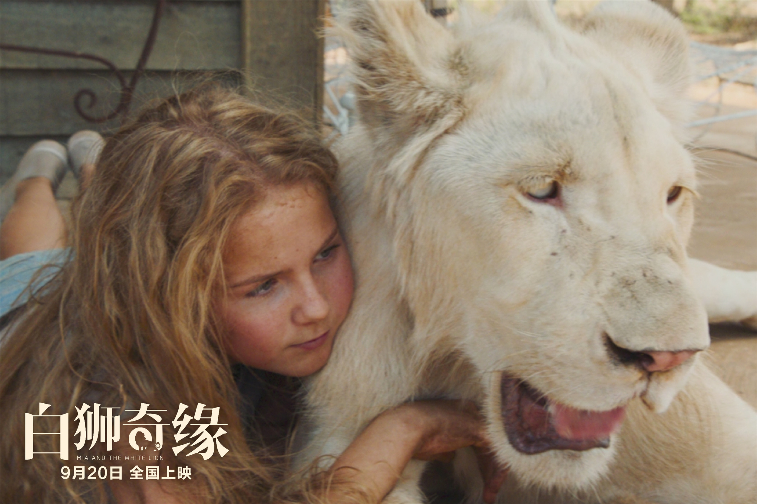 《白狮奇缘》见证了一段人与动物的真挚友谊