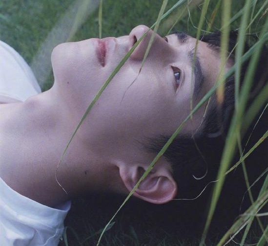 刘昊然躺草地拍杂志 脖子上蚊子成亮点