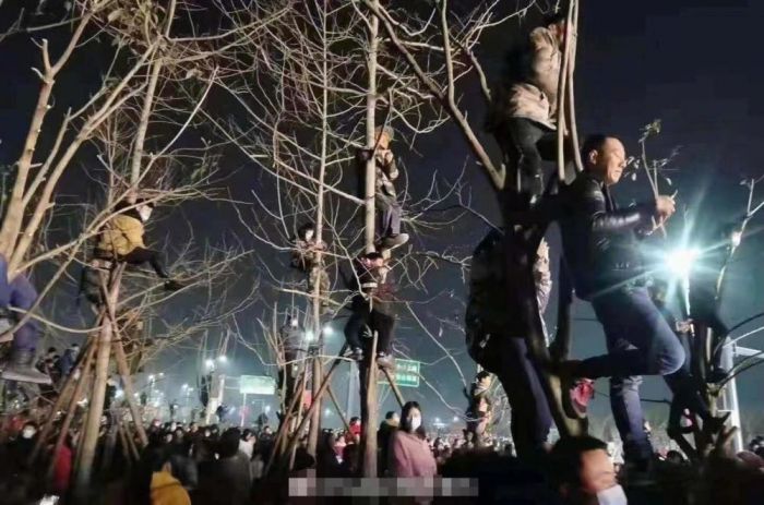 观众为看潘长江爬上树，到县城演出引发轰动