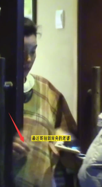 央老婆挺孕肚出门被拍
