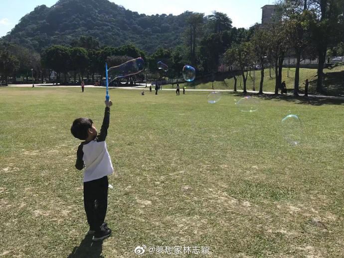 林志颖带双胞胎儿子公园野餐 兄弟俩草坪吹泡泡颜值高