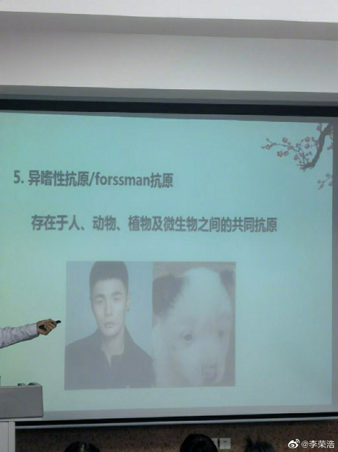 /upload/temp/b60589bbec9056.jpg