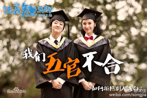宋佳