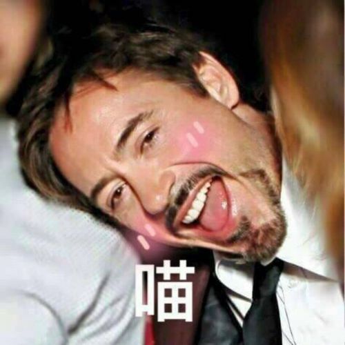 小罗伯特·唐尼