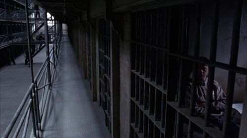 蒂姆·罗宾斯