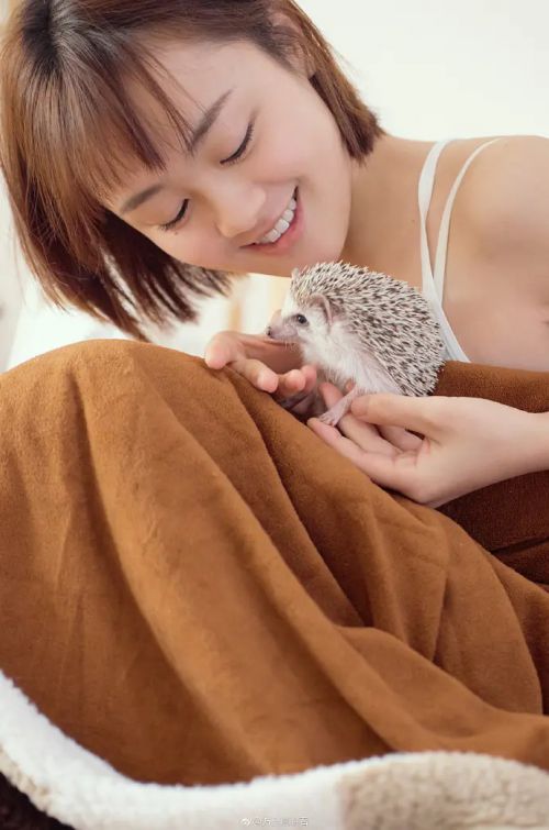 陈芳彤
