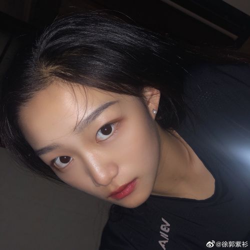 徐郭紫杉