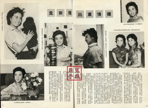 钟情