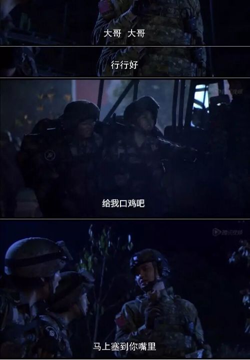 特种兵之火凤凰