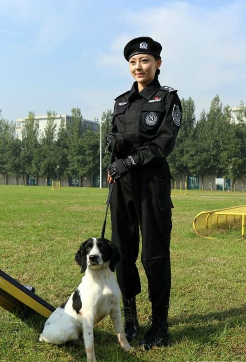 警花与警犬2图片