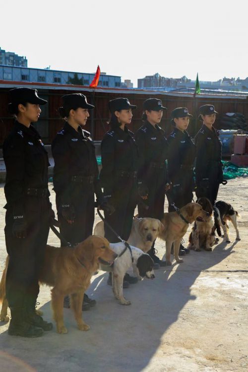 警花与警犬