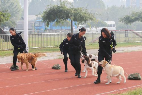 警花与警犬