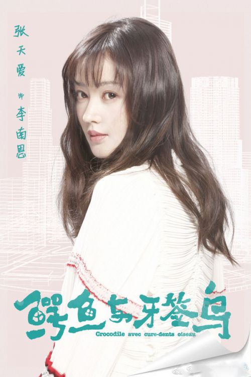 鳄鱼与牙签鸟