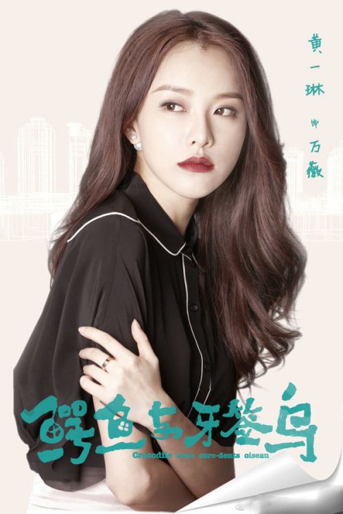 鳄鱼与牙签鸟