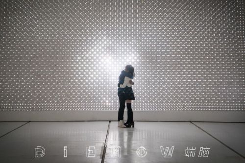 端脑