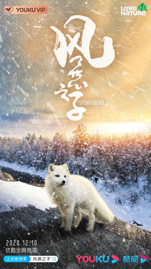 风暴之子