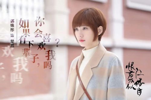 恨君不似江楼月