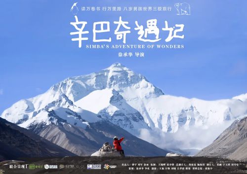 辛巴奇遇记