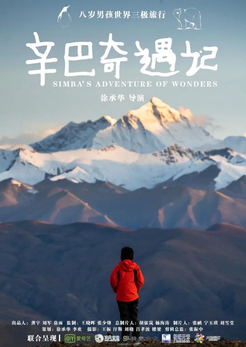 辛巴奇遇记